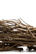 Tea twigs, natural bundle, length: 60cm