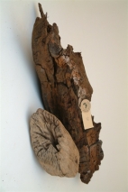 Driftwood, length: 30-200cm