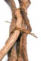 Cinnamon Stick, 5 per bundel, length: 120cm